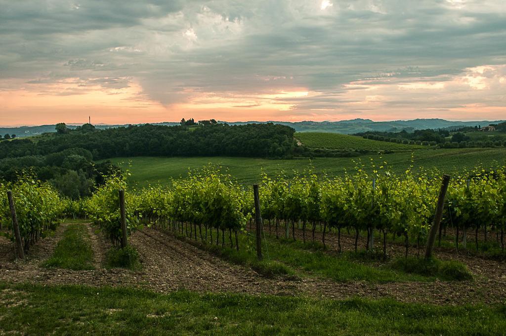 Agriturismo Colleverde Selvatelle Екстериор снимка