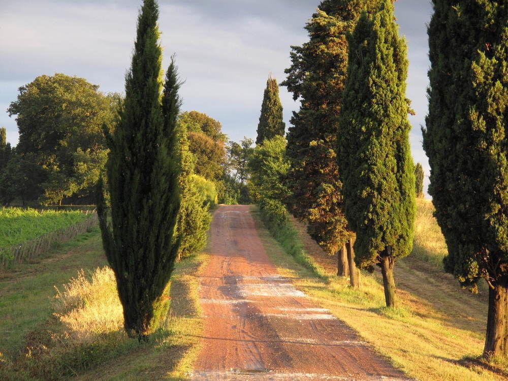 Agriturismo Colleverde Selvatelle Екстериор снимка