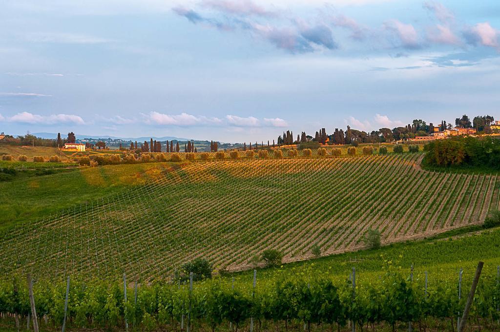 Agriturismo Colleverde Selvatelle Екстериор снимка