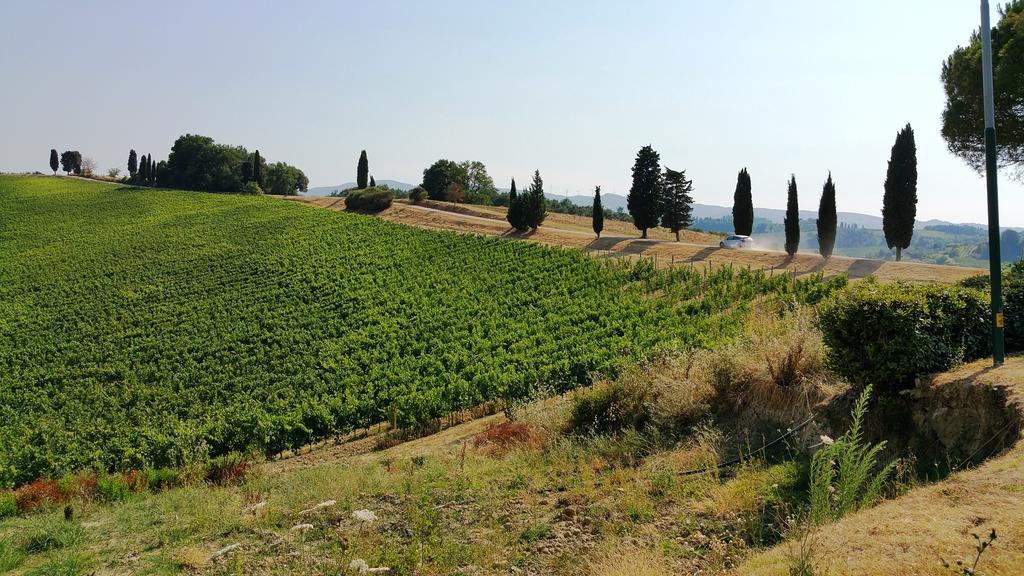 Agriturismo Colleverde Selvatelle Екстериор снимка