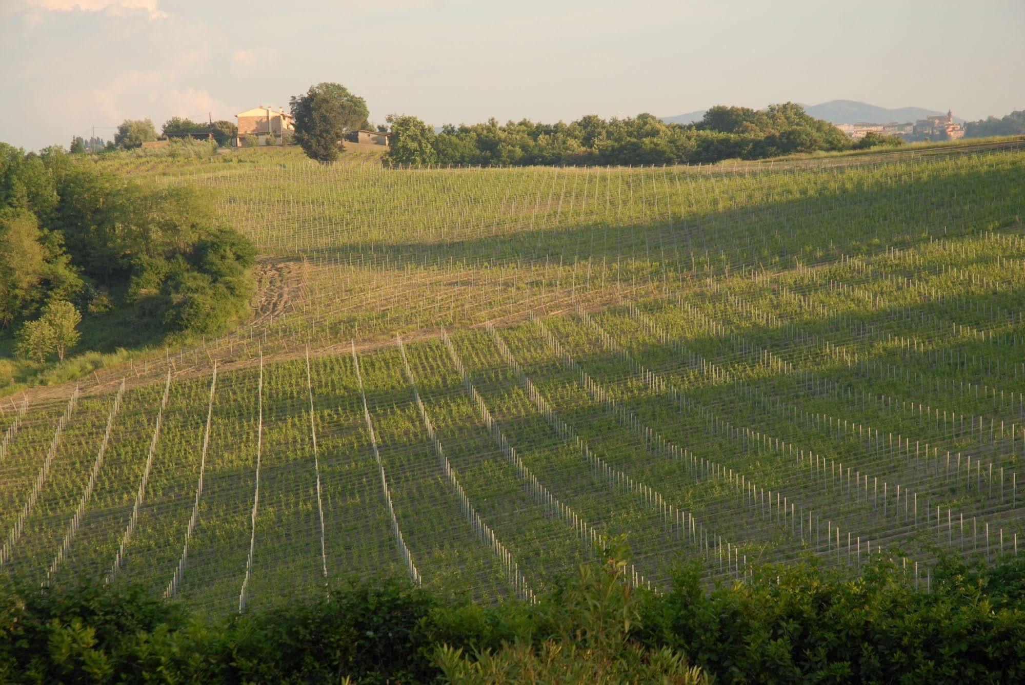 Agriturismo Colleverde Selvatelle Екстериор снимка