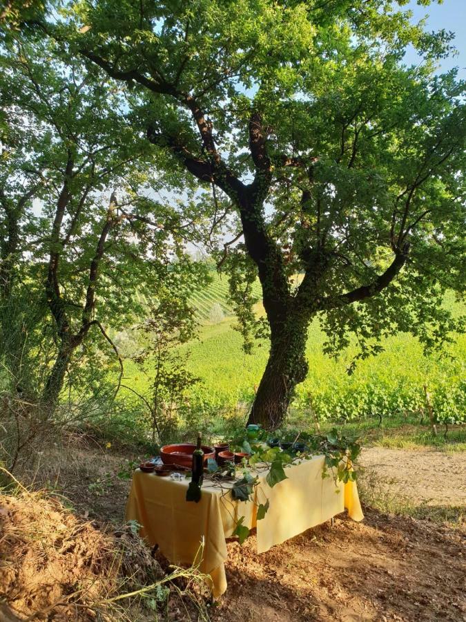 Agriturismo Colleverde Selvatelle Екстериор снимка